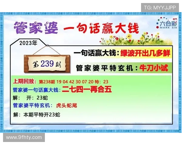 探索澳门新彩网官方网站免费投注的无限可能